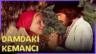 Damdaki Kemancı | Eski Türk Komedi Filmi