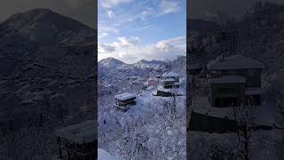 #snow #winter #winterspecial