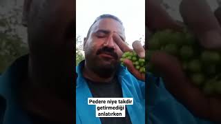 Pedere niye takdir getirmediğimi anlatırken #shorts #komik #komikvideo #komikvideolar