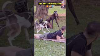 The best bodyguard 🔥🐾🐶❤️ #dog #dogcoach #k9master #trainingdog #pets #k9dog #dogtraining