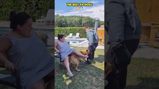 The best bodyguard 🔥🐾🐶❤️🚨 #dog #dogcoach #k9master #trainingdog #k9dog #pets