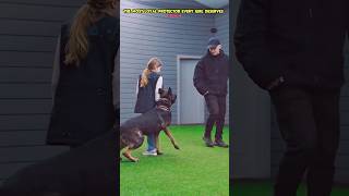 The best bodyguard 🔥🐾🐶❤️🚨 #dog #dogcoach #k9master #trainingdog #pets #k9dog