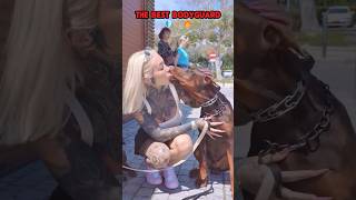 The Best bodyguard ❤️🐶🐾🔥🚨#dog #dogcoach #trainingdog #k9master #k9dog #pitbull #k9