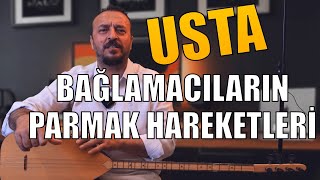 UZUN SAP USTALARIN HAREKETLERİ