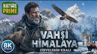 VAHŞİ HİMALAYA I ZİRVELERİN KRALI I 8K Ultra HD Tam Belgesel I Nature Prime