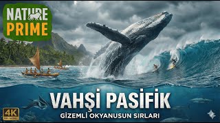 Vahşi Pasifik: Okyanusun Gizlediği Ölümcül Sırlar!  I Nature Prime 4K Tam Belgesel I