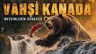 VAHŞİ KANADA: Mevsimlerin Döngüsü | Türkçe Doğa Belgeseli