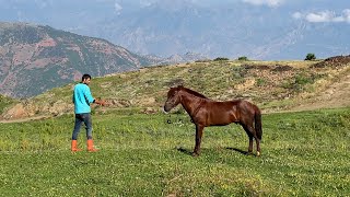 Toprağa Dönen Yol - Bir Çobanın Hikayesi I Belgesel Film