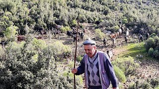 Yörükoğlu Sencan'ın  Keçi Çobanlığı I Belgesel