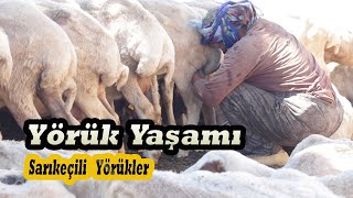 Toros Dağlarının Son Yörükleri.. I  Belgesel..