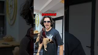 Favori köpeğin hangisi? 🐶😂