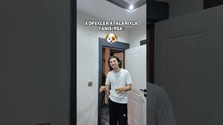 Sonu çok iyi 😂
