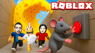 FARELER ÇILDIRDI! ÜZERİMİZE PEYNİR LAVI GÖNDERDİ! 😱🐭