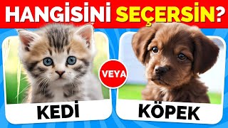 Hangisini Tercih Edersin?🤔 | Hayvanlar Özel 😻🐶