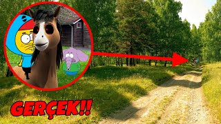 DORU.EXE neden KRAL ŞAKİR'İ ORMANA KAÇIRDI? Minecraft Doru Sezon 2 #1