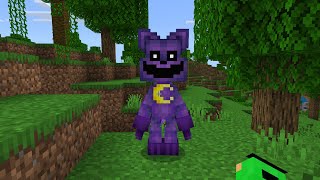 Korkunç Mor Kedi Gerçek mi? Minecraft Catnap Efsanesi