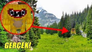 GERÇEK HAYATTA YÜN CANAVARINI BULDUM! Joyville - Minecraft Bölüm 4