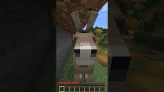 Minecraftta Eşek Gaffur Arkadaşım Oldu 😂
