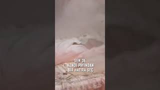 Sezen Aksu - Beni Unutma
