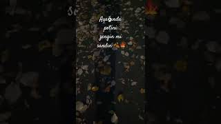 Sonbahar 🍁🍂 #keşfet #türkiye #müzik #türkçemüzik #türkü #hacelobasi