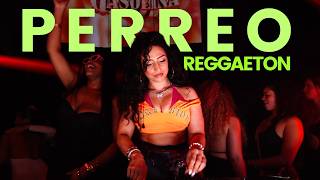 REGGAETON & PERREO PARTY MIX | DON OMAR, DADDY YANKEE, BAD BUNNY