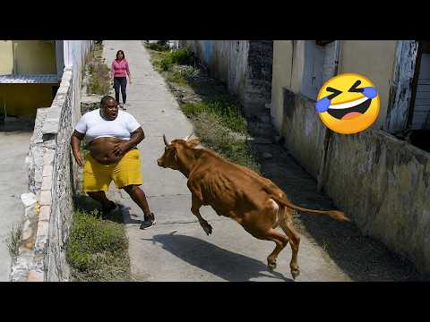 video-thumb